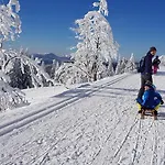 Apartmán Naturverliebt Im Schwarzwald - Mit Sauna Und Panoramabalkon, Direkt An Skipiste Und Wanderwegen Todtnauberg