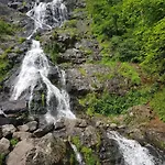 Naturverliebt Im Schwarzwald - Mit Sauna Und Panoramabalkon, Direkt An Skipiste Und Wanderwegen Apartmán Todtnauberg