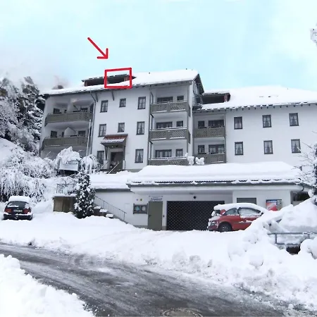 Naturverliebt Im Schwarzwald - Mit Sauna Und Panoramabalkon, Direkt An Skipiste Und Wanderwegen Apartamento Todtnauberg