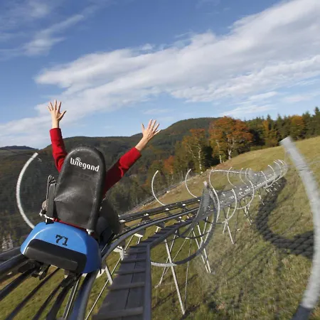 Naturverliebt Im Schwarzwald - Mit Sauna Und Panoramabalkon, Direkt An Skipiste Und Wanderwegen