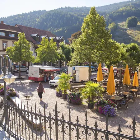 Naturverliebt Im Schwarzwald - Mit Sauna Und Panoramabalkon, Direkt An Skipiste Und Wanderwegen * Todtnauberg