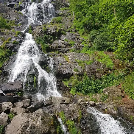 Naturverliebt Im Schwarzwald - Mit Sauna Und Panoramabalkon, Direkt An Skipiste Und Wanderwegen Todtnauberg