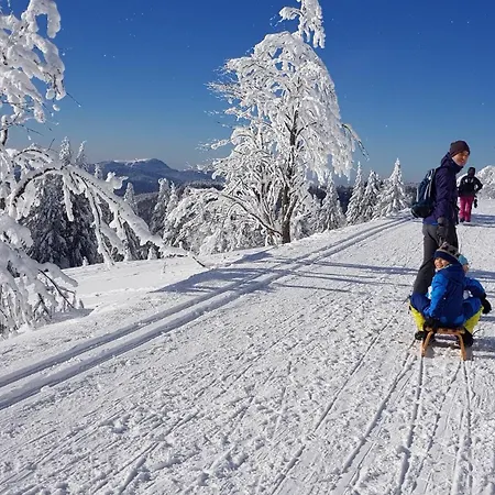 Naturverliebt Im Schwarzwald - Mit Sauna Und Panoramabalkon, Direkt An Skipiste Und Wanderwegen Apartamento