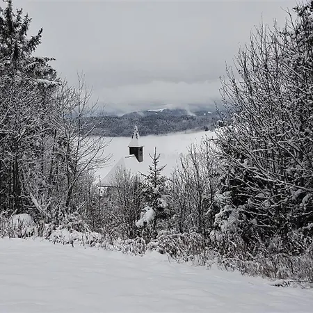 Apartamento Naturverliebt Im Schwarzwald - Mit Sauna Und Panoramabalkon, Direkt An Skipiste Und Wanderwegen