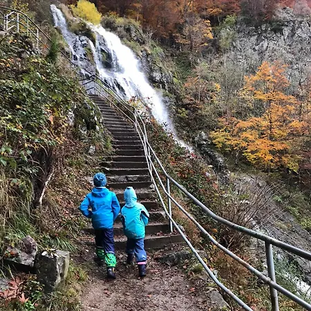 Apartamento Naturverliebt Im Schwarzwald - Mit Sauna Und Panoramabalkon, Direkt An Skipiste Und Wanderwegen Todtnauberg