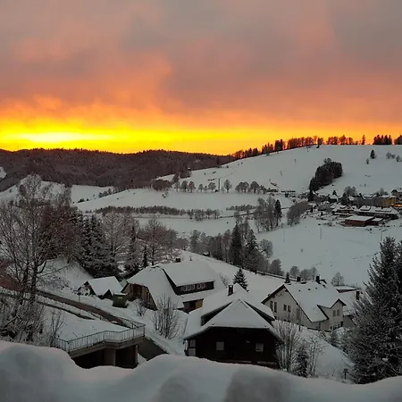 Naturverliebt Im Schwarzwald - Mit Sauna Und Panoramabalkon, Direkt An Skipiste Und Wanderwegen Apartamento