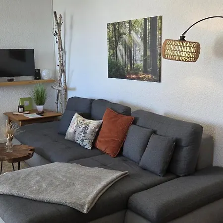 Apartamento Naturverliebt Im Schwarzwald - Mit Sauna Und Panoramabalkon, Direkt An Skipiste Und Wanderwegen Todtnauberg