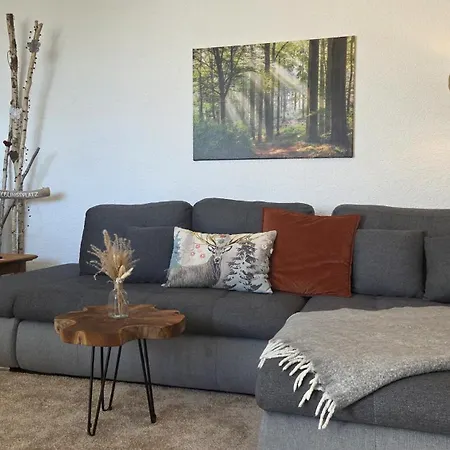 Naturverliebt Im Schwarzwald - Mit Sauna Und Panoramabalkon, Direkt An Skipiste Und Wanderwegen Apartamento *